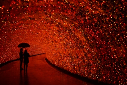 なばなの里雨の日のイルミネーション